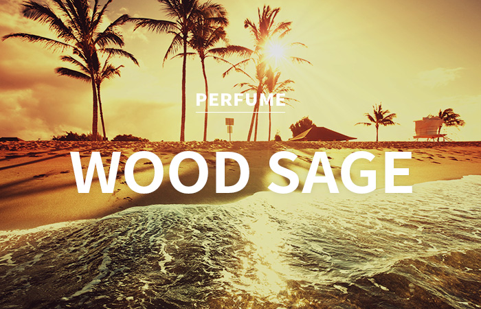 [USA] wood sage &amp; sea salt / 우드세이지 &amp; 씨 솔트