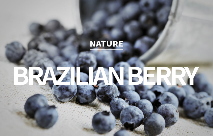 [USA] brazilian berry /브라질리언 베리