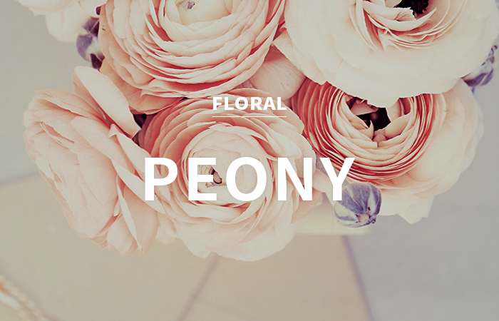 [CPL] peony / 피오니