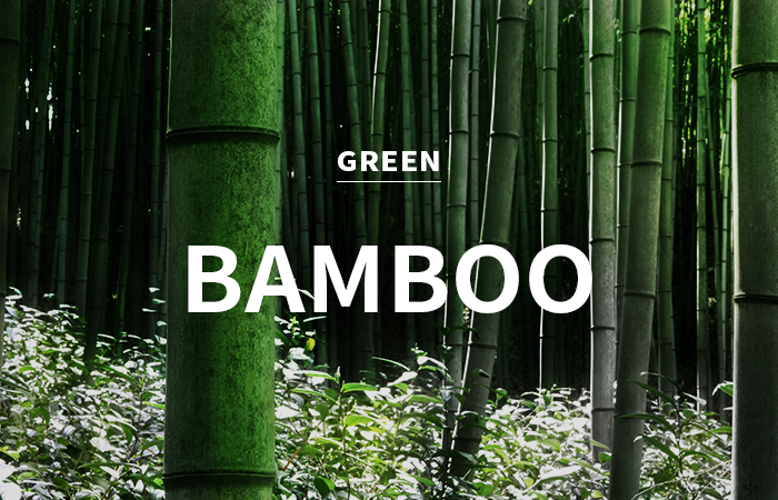 [CPL] bamboo / 대나무