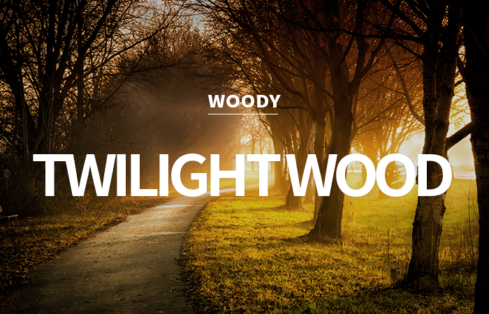 [CPL] twilight wood / 트와일라잇 우드