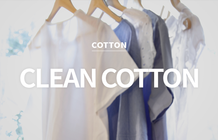 [CPL] clean cotton / 클린코튼