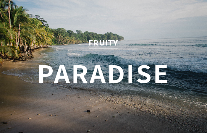 [CPL] pacific paradise / 퍼시픽 파라다이스