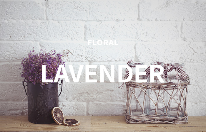 [USA] lavender / 라벤더