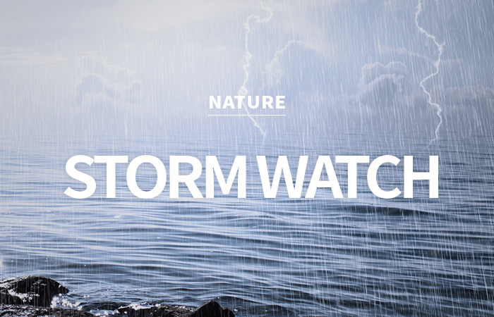 [USA] storm watch / 스톰 워치