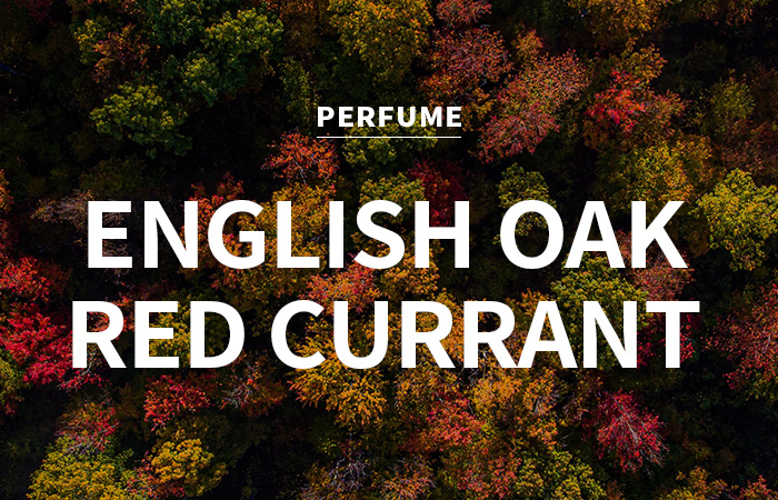 [USA] english oak &amp; red currant /잉글리쉬 오크 &amp; 레드 커런트