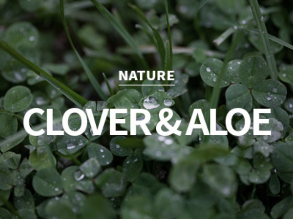 [USA] green clover &amp; aloe / 그린 클로버 &amp; 알로에
