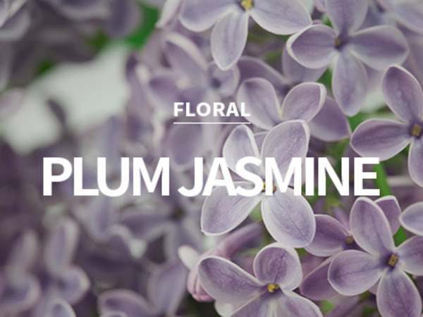 [USA] plum jasmine / 플럼 자스민