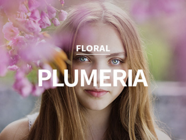 [USA] plumeria / 플루메리아
