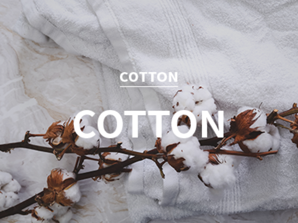 [CPL] cotton blossom / 코튼 블라썸
