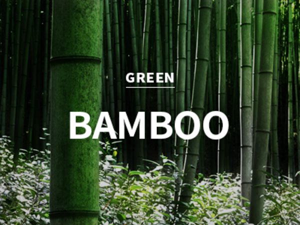 [CPL] bamboo / 대나무