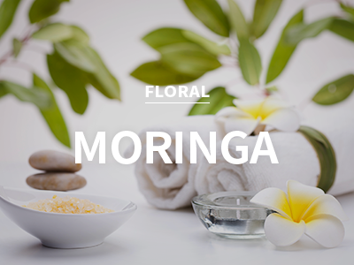 [CPL] moringa / 모링가 더바디샵