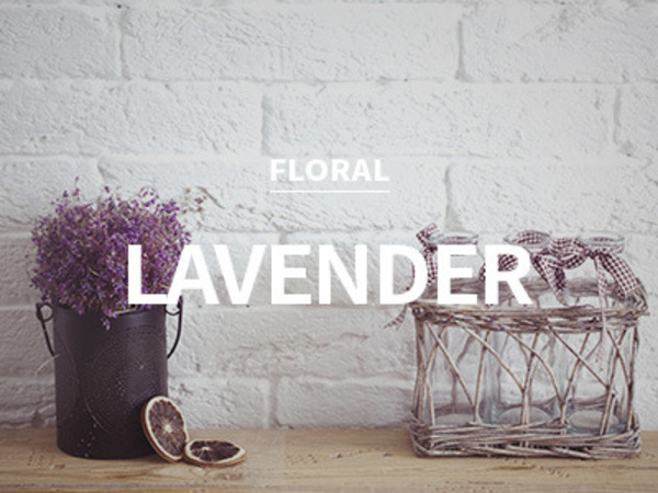 [USA] lavender / 라벤더