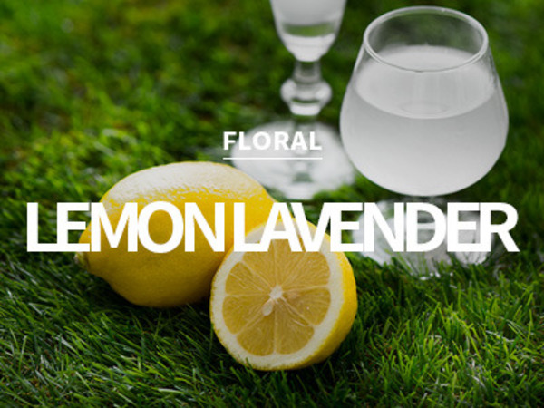 [USA] lemon lavender / 레몬 라벤더