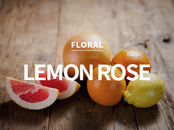 [USA] lemon rose / 레몬 로즈