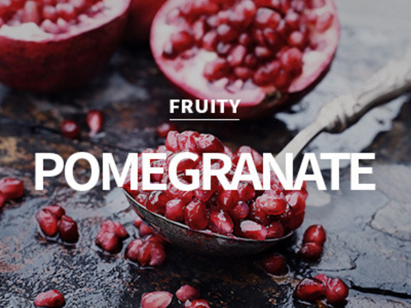 [USA] pomegranate geranium / 포메그래니트 제라늄