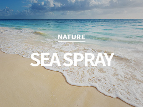 [USA] sea spray / 씨 스프레이