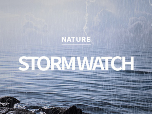 [USA] storm watch / 스톰 워치