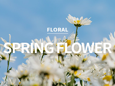 [USA] spring flower / 스프링 플라워