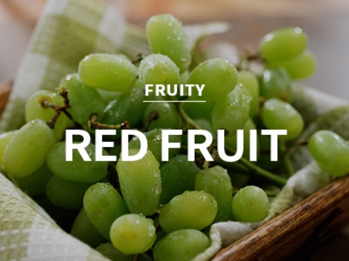 [KR] red fruit / 레드프룻